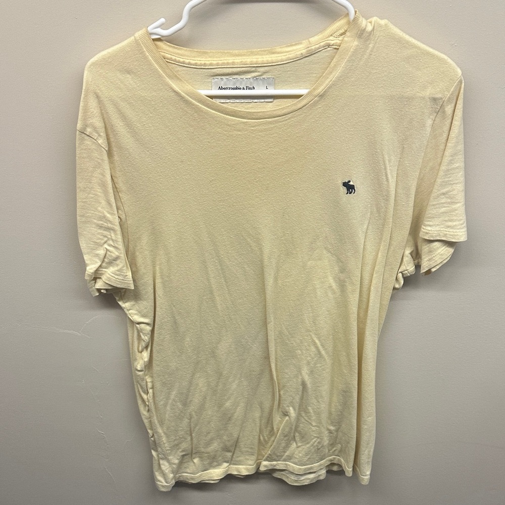 Abercrombie and Fitch Fitted T-Shirt